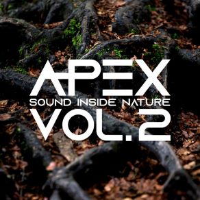 Download track Apex Sound Inside Nature, Vol. 2 (Continuous Mix) Apex Sound Inside Nature