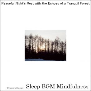 Download track Healing Resonance In The Murmur Of The Stream Sleep BGM Mindfulness