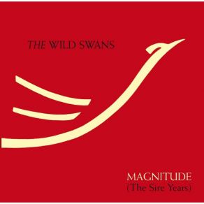 Download track Magic Man The Wild Swans