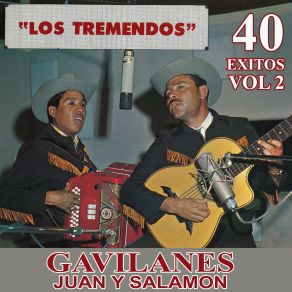 Download track Con Todo El Alma Los Tremendos Gavilanes