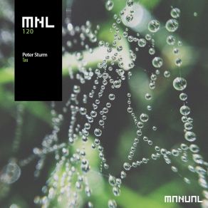 Download track Symmetrie Peter Sturm