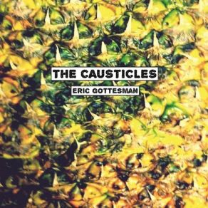 Download track A Case For Hate Speech (First Amendment Vocal Version) The Causticles