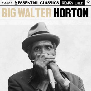 Download track Hydramatic Woman Walter Horton