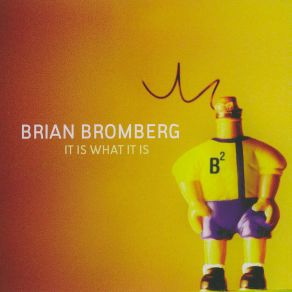 Download track It Is What It Is Brian Bromberg