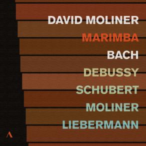 Download track Bach: Suite No. 2 For Violoncello In D Minor, BWV 1008: II. Allemande David Moliner