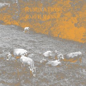 Download track It’s Been Raining A Lot Lately, Especially Late-Nights Into The Early Morning Jojo R Manny