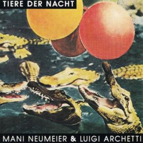 Download track Explorer Tiere Der Nacht