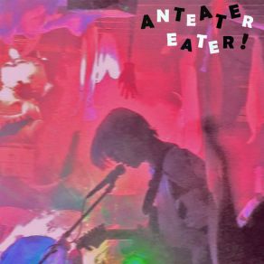 Download track All My Favourtie Musicians Are Sexual Predators (Beach Song) Anteater Eater