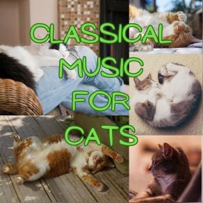 Download track Concerto For Violin, Oboe And Strings In D Minor, BWV 1060: II. Adagio Leon Goossens