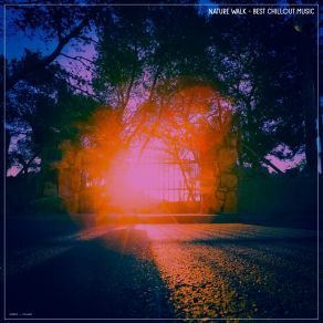 Download track Delicate Intrigue Adaptationes Mirabiles