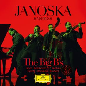 Download track J. S. Bach: Concerto For 2 Violins In D Minor, BWV 1043 (Arr. Janoska Ensemble) - III. Allegro Janoska Ensemble