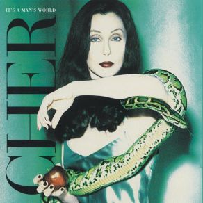 Download track It's A Man's Man's Man's World Cher