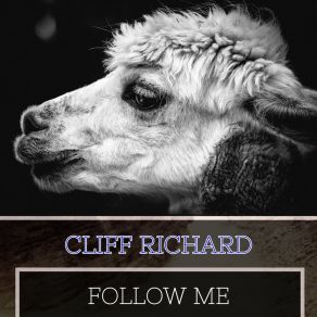 Download track Don't Bug Me Baby Cliff Richard