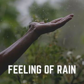 Download track Ground Splashing Rain Sounds For Sleep Aid
