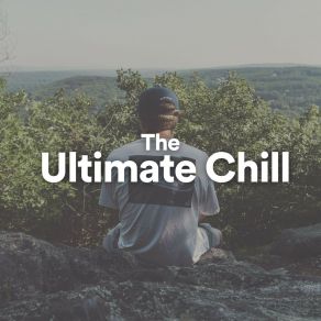 Download track Calm Music For Work And Concentration, Pt. 2 New Age Anti Stress Universe