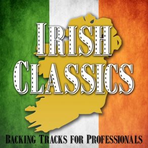 Download track Isn't It A Wonder (Instrumental) The Professionals