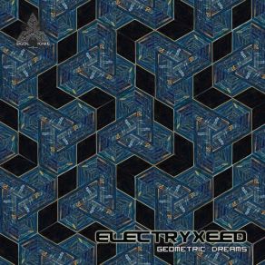 Download track Time Is Unity Electryxeed