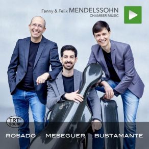 Download track Piano Trio In D Minor, Op. 11: I. Allegro Molto Vivace Alberto Rosado, Alejandro Bustamante, Lorenzo Meseguer