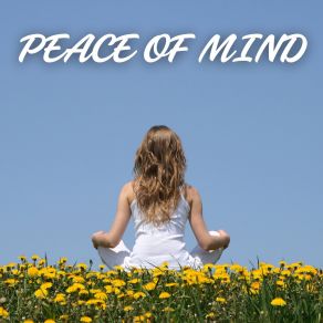 Download track Creating Salon Sounds Gentle
