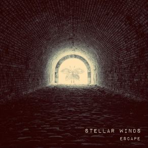 Download track Spider Maze Stellar Winds