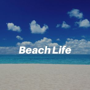 Download track Explorer Ocean Ocean Sound Machine