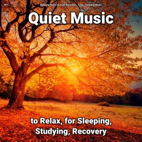 Download track Relaxing Music For Deep Sleep Relaxing Music