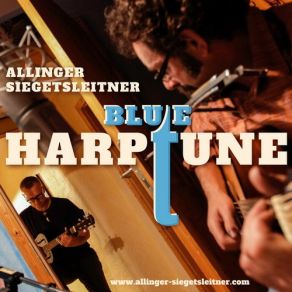 Download track I’m A Steady Rollin’ Man Allinger - Siegetsleitner
