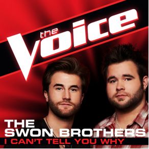 Download track I Can'T Tell You Why The Swon Brothers