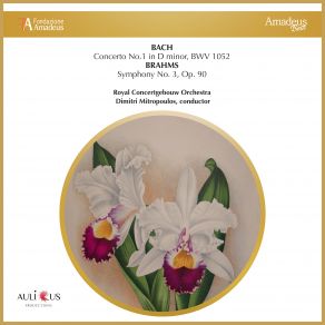 Download track Symphony No. 3 In F Major Op. 90: I. Allegro Con Brio Royal Concertgebouw Orchestra, Dimitri Mitropoulos