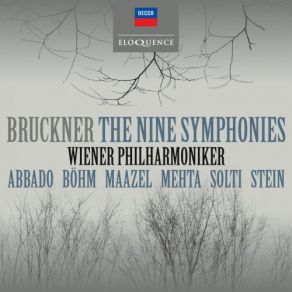Download track Bruckner Symphony No. 3 In D Minor, WAB 103-Ed. Nowak-3. Scherzo Ziemlich Schnell Wiener Philarmoniker