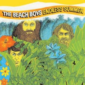 Download track Catch A Wave The Beach Boys