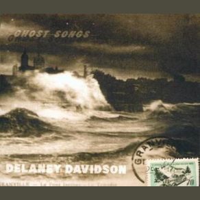 Download track I'm A Fool Delaney Davidson