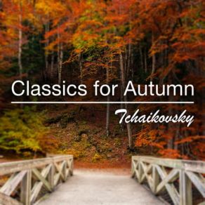 Download track 6. Thème Original Et Variations. Variation 12 Valentina Lisitsa