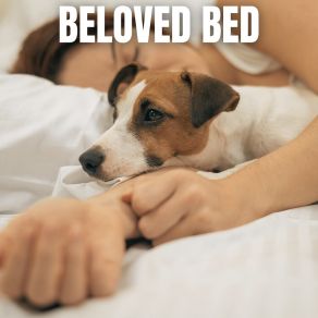 Download track Learning Sleepy Sounds