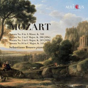 Download track Piano Sonata No. 8 In A Minor, K. 310: II. Andante Cantabile Con Espressione Sebastiano Brusco