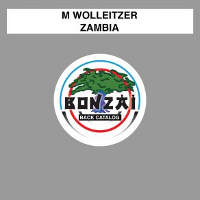 Download track Computer Soul (Calibre Mix) M. Wolleitzer