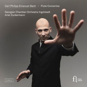 Download track Flute Concerto In D Minor, Wq. 22 H. 425- III. Allegro Di Molto The Georgian Chamber Orchestra Ingolstadt
