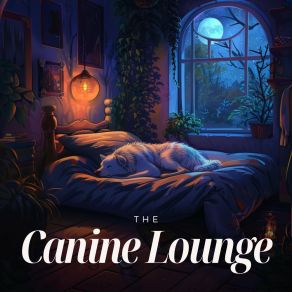 Download track Knowledge's Nightfall Dog Relaxation Music