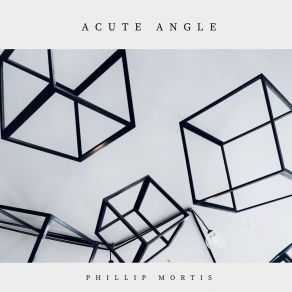 Download track Acute Angle Phillip Mortis