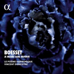 Download track Ballet Des Fous Et Des Estropiés De La Cervelle: II. Entrée Des Demy-Fous Vincent Dumestre, Le Poeme Harmonique