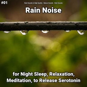 Download track Noises That Make You Fall Asleep Rain Sounds