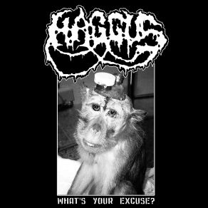 Download track What's Your Excuse? Haggus