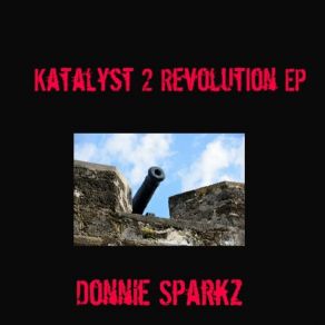 Download track Cant Stop Now Donnie Sparkz