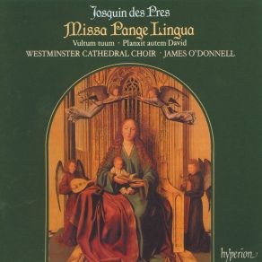 Download track Planxit Autem David, NJE 14.9: III. Sagitta Jonathae Westminster Cathedral ChoirJames O'Donnell