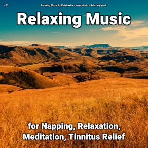 Download track Soft Music To Help Fall Asleep Relaxing Music