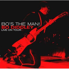 Download track I'M A Man Bo Diddley
