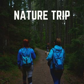 Download track Explorer Ocean Sounds Of Nature Noise
