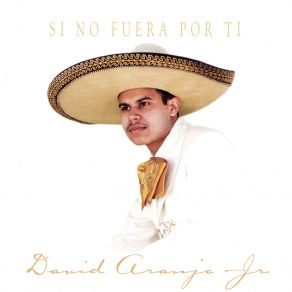Download track Si No Fuera Por Ti David Araujo Jr
