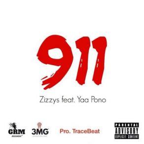 Download track Araba Zizzys