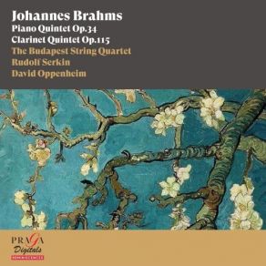 Download track 05. Clarinet Quintet In B Minor, Op. 115 I. Allegro Johannes Brahms
